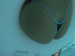 Captura de 'Massive Wet Asses 5' nº 1