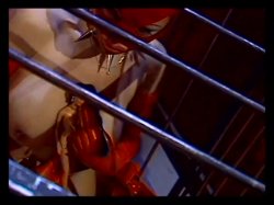 'Lesbian Secret Desires 2' screenshot nº 34