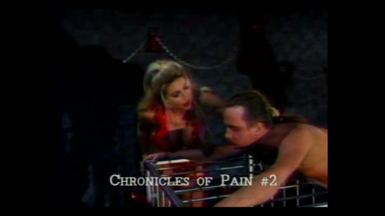 Chronicles of Pain 2