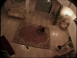 Captura de 'Video Adventures of Peeping Tom 1' nº 74