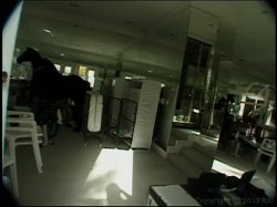 Captura de 'Video Adventures of Peeping Tom 1' nº 125