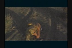 'Sizzle' screenshot nº 105
