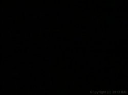 'Lesbian Mature Women 16' screenshot nº 5