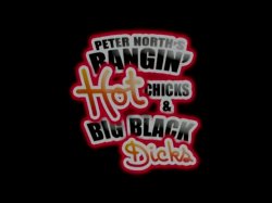 Captura de 'Peter North's Bangin' Hot Chicks & Big Black Dicks' nº 1