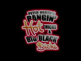 Peter North&#39;s Bangin&#39; Hot Chicks &amp; Big Black Dicks - Scène1 - 1