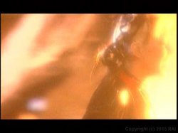 Captura de 'Splendor' nº 83