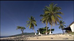Captura de 'Tropical Top Model' nº 4