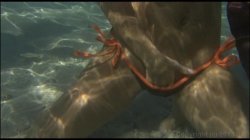 Captura de 'Tropical Top Model' nº 110