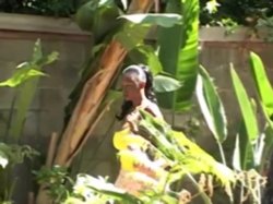 'Big Bubble Buttz 4' screenshot nº 72