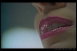 Captura de 'Christy Canyon is Back' nº 30