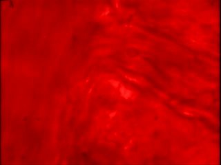 Vampire Strangler - Escena2 - 1