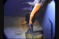 'Cum TV' screenshot nº 16