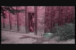 Captura de 'Bronx Butt Sluts' nº 101
