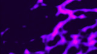 Cute Girls Tiny Tits 2 - Scena2 - 1