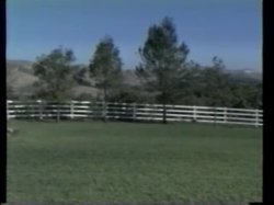 Captura de 'Return To Camp Beaver Lake' nº 103