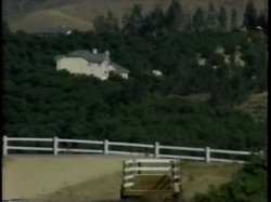 'A Handful Of Summers' screenshot nº 2