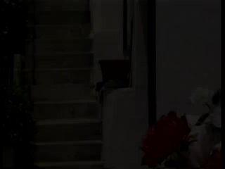 Young N&#39; Ready Rectums - Escena3 - 6