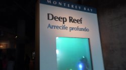 Captura de 'Ripe and Ready: Amateur Anal' nº 61