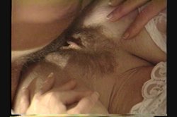 'Insatiable Nurses' screenshot nº 81