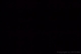 Blowjob Adventures of Dr. Fellatio #13, The - Szene5 - 1