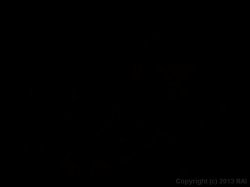 'Black Label' screenshot nº 124