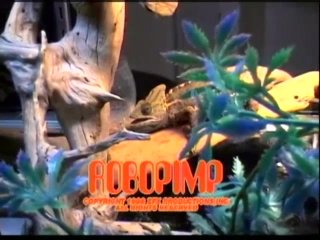 Robopimp - Szene1 - 1