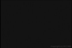 'Black Bubble Butt Hunt 3' screenshot nº 33
