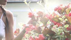 'Outdoor Pleasures' screenshot nº 1