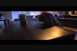 'Latex Posessions' screenshot nº 61