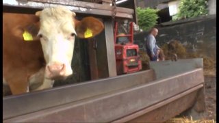 5 Stunden Bauernhof Schlampen - Scène2 - 2