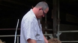 5 Stunden Bauernhof Schlampen - Scène11 - 2