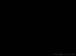 'Sodomania Slop Shots 2' screenshot nº 20