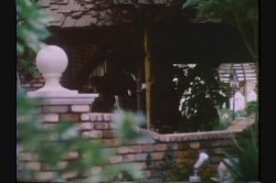 Captura de 'Hot Dallas Nights' nº 25
