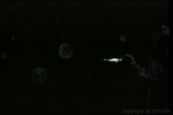 Captura de 'Rainwoman 10' nº 78
