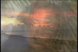 'Island Girls' screenshot nº 1