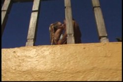 Captura de 'Sodomy on the Menu' nº 3