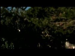 'Foreign Girls In Heat (English Language)' screenshot nº 6