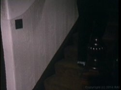 'Sorority Sweethearts' screenshot nº 58