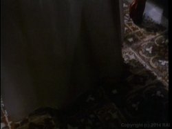 'Sorority Sweethearts' screenshot nº 9