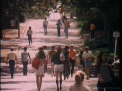 'Sorority Sweethearts' screenshot nº 29