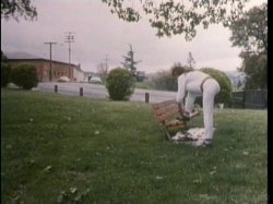 'Sorority Sweethearts' screenshot nº 3