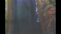 'American Sex Fantasy' screenshot nº 63