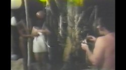 'American Sex Fantasy' screenshot nº 87