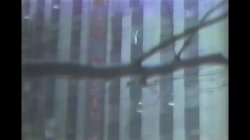 'American Sex Fantasy' screenshot nº 99