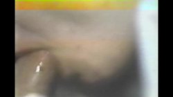 'American Sex Fantasy' screenshot nº 130