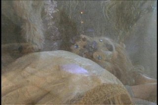 Best Of Nina Hartley 3, The - Scène8 - 2
