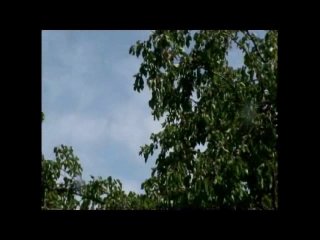 50+ #65 - Scena2 - 1