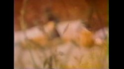Captura de 'How Sweet It Is' nº 104