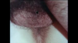 'I Felt A Thigh' screenshot nº 62