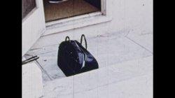 'Legal Entry' screenshot nº 5